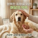 건강한세상행복한약국 이미지