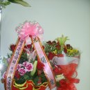 백사어린이집 이미지