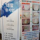 메이플 스토리 애견샵 | 용산네일 네일뮤지엄/ 여름패디 8번째방문(feat.우주를줄게)