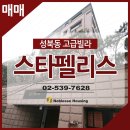 스타펠리스앞 이미지