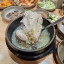 동래삼계탕 | 부산 센텀시티 동래삼계탕 후기 복날엔 삼계탕이지