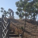 바다펜션 | 포항펜션 밀라노바다펜션 이용후기