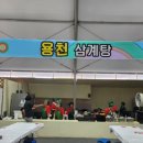 용천삼계탕