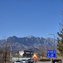 원조재래식할머니순두부 이미지