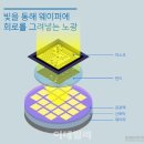 인프리아