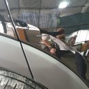 장풍세차장 이미지