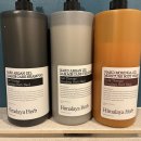 캡슐호텔양양 이미지