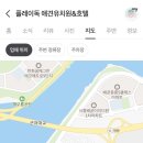 플레이독 애견유치원 이미지