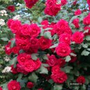 행복가득 이미지