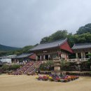 금정산 | 블랙야크 100대 명산 bac100챌린지 부산 금정산 범어사 코스 후기