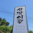가주리와주리된장;고추장 | 양산 덕계 산맞이골 대강주리에 담아내는 특이한 점심특선 : 13000원 보쌈+ 보리밥 한상