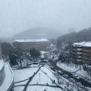 성화세탁빨래방 | 선문대 기숙사 성화학숙 후기