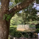 할머니쌈밥 이미지