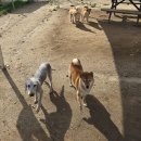 죽빵훈련소 이미지