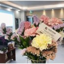 더상춘한의원 이미지