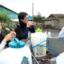 은영가족농장 이미지