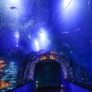 가을코스2 이미지