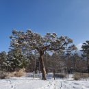 하얀천국 이미지