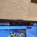 금성참숯갈비 | [서울/마포] 마포역 고기집 고급스러운 식당 금성회관(LA양념갈비, 생갈비) 후기