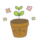 호야과일 이미지