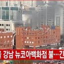 (버스)뉴코아백화점 이미지