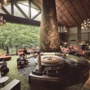 비고리조트 16 이미지