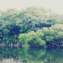 산바래기농장 이미지