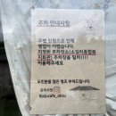 흙마당 | 💚제주 애월의 감성 카페 ‘골목카페 옥수’ 방문 후기