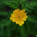 성남시립식물원 이미지