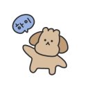쇼킹펍