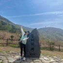 증심사뚱돼지숯불갈비 | [광주] 증심사 뚱돼지숯불갈비 무등산 등반 삼겹살 맛집