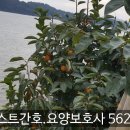날개바로정형외과의원 네이버블로그