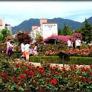 가음정사거리 이미지