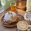 찬진목장 | 231106-12 일상