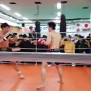 SFC 토너먼트 -63kg 챔피언전 결승 2라운드 조서호(새절투혼정심관) vs 김동준(여수투혼정심관) 이미지