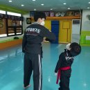 용인대 유성 합기도 이미지