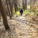 킴스아트필드미술관 이미지