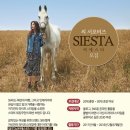씨에스타 이미지