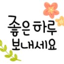 엘와이그린