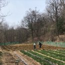 터골농장 이미지