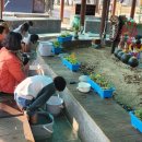 해남공원 이미지