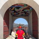 경복궁 | 아이와 경복궁 다녀온 후기 서울 가족나들이 추천