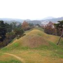 함안 말이산고분군 이미지