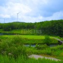 밸리CC 직원식당 1F | 중국골프여행 청도 캐슬렉스CC 골프텔 체류형 라운드 추천