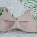 브이엔비 이미지