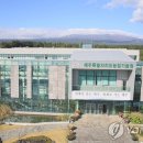 신효동-19 이미지