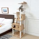 6529 | 펫모닝 캣타워 후기 미유앤코 6단 하이클라이밍 캣타워 궁팡 득템 내돈내산리뷰