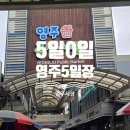 남평5일전통시장 | 영주 장날 5일0일 장날 오일장 솔직후기｜영주전통시장 구경