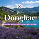 삼화Korea | 6월 주말에 가볼만한 곳, 무릉별유천지 라벤더 축제, 동해여행