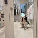 [이천] 롯데프리미엄아울렛 :: 5세 아이와 함께한 쇼핑 후기(회전목마 &amp; 미니기차)
